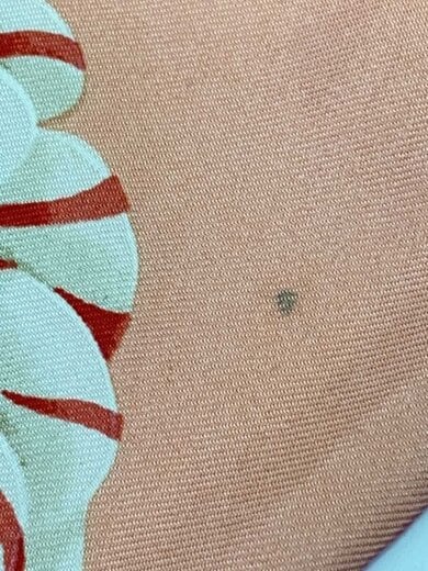 商品画像：スカーフ/シルク/マルチカラー/レディース 5