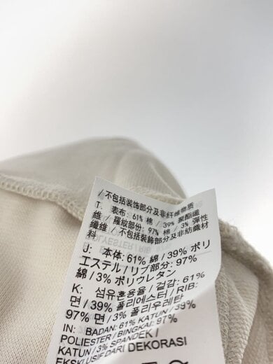 商品画像：スウェットシャツ/XXL/コットン/IVO/FN3030-104 4