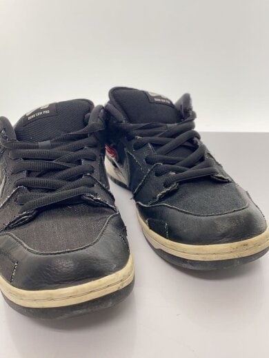 商品画像：WASTED YOUTH X DUNK LOW PRO_ウェイステッド ユース X ダンク ロー プロ/28cm/ 8