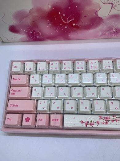商品画像：Ducky/70パーセントキーボード/VA73M 2