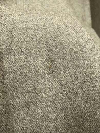 商品画像：サンローラン/ボトム/44/カシミア/グレー/2024// 7