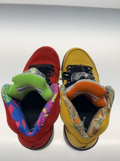 商品画像：AIR JORDAN 5 RETRO SE_エアジョーダン 5 レトロ SE/24.5cm/マルチカラー 3