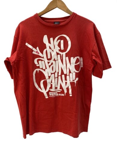 商品画像：NO PAIN NO GAIN/00s/Tシャツ/L/コットン/RED/プリント/シミ有// 1