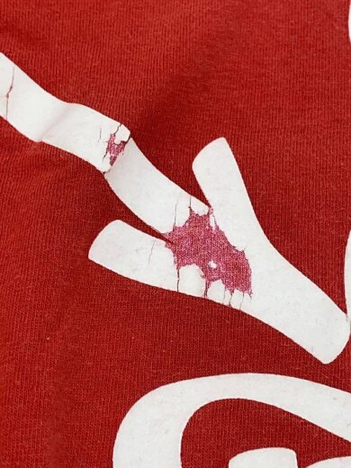 商品画像：NO PAIN NO GAIN/00s/Tシャツ/L/コットン/RED/プリント/シミ有// 7
