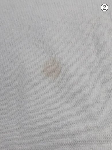 商品画像：Tシャツ/L/コットン/WHT/無地 8