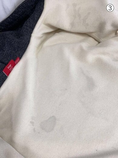 商品画像：2010/アーチロゴ/ジップパーカー/L/コットン/BLK/無地 9