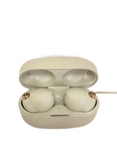 画像：SONYイヤホン・ヘッドホン WF-1000XM4 (S) [プラチナシルバー]1