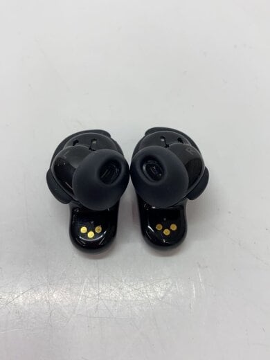 商品画像：イヤホン 3