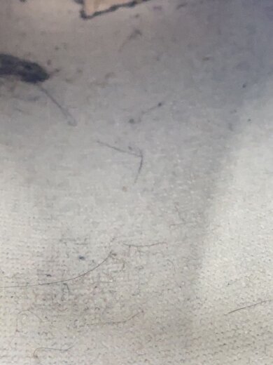 商品画像：M5740/ブラウン/24cm/BRW 6