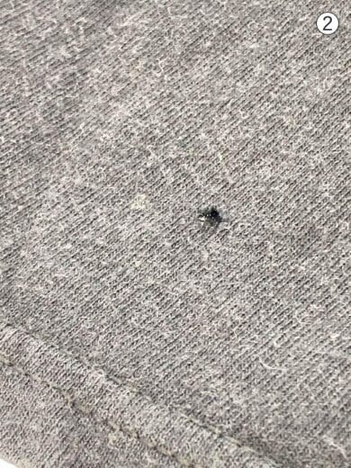 商品画像：Tシャツ/XL/コットン/BLK/メタリカ/2009年10月17日// 6