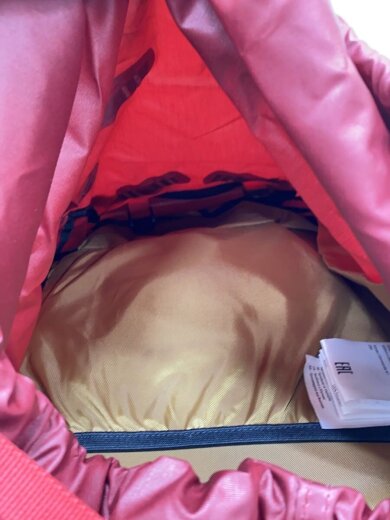 商品画像：サースフェー NX 30+5/リュック/ナイロン/RED 6