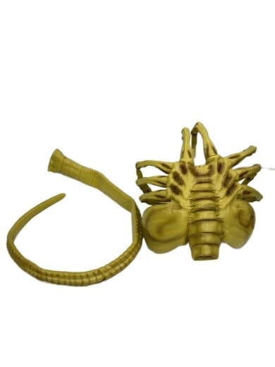 商品画像：ALIEN 1/1 scale Face Hugger/フィギュア/B.B.ZAP ORIGINAL 5