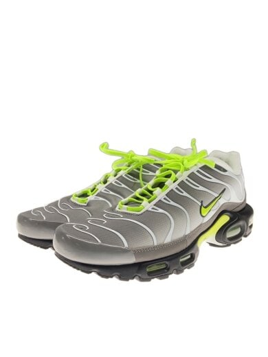 商品画像：AIR MAX PLUS_エアマックス プラス/30cm/SLV// 1