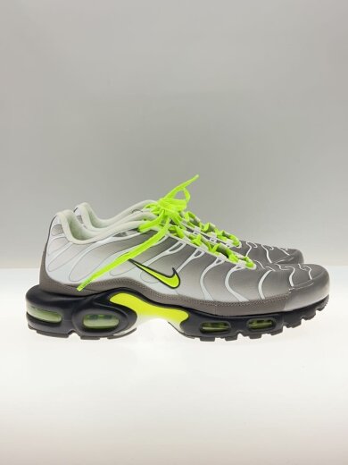 商品画像：AIR MAX PLUS_エアマックス プラス/30cm/SLV// 2