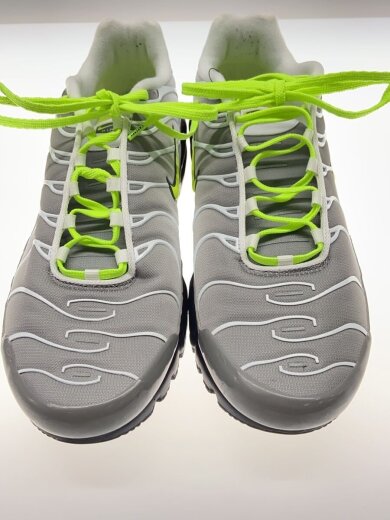 商品画像：AIR MAX PLUS_エアマックス プラス/30cm/SLV// 3