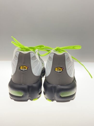 商品画像：AIR MAX PLUS_エアマックス プラス/30cm/SLV// 5