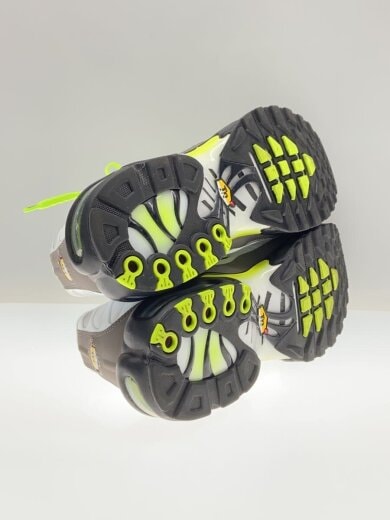 商品画像：AIR MAX PLUS_エアマックス プラス/30cm/SLV// 6