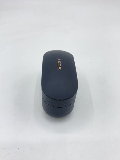 商品画像：イヤホン・ヘッドホン WF-1000XM4 (B) [ブラック] 2