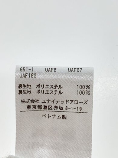 商品画像：CHINTSプリーツスカート/36/ポリエステル/IVO/1524-162-5117 6