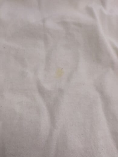 商品画像：Tシャツ/XL/コットン/WHT// 8