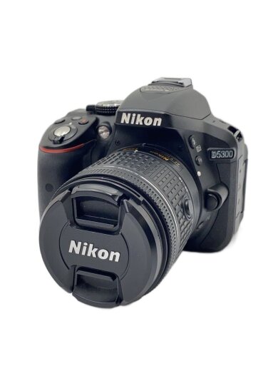 商品画像：デジタル一眼カメラ D5300 AF-P ダブルズームキット 1
