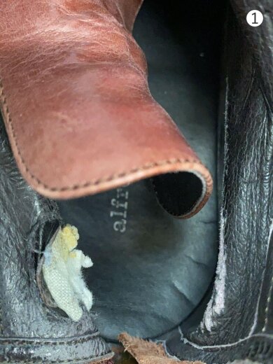 商品画像：レースアップブーツ/41/BRD 6