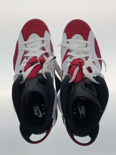画像：NIKEAIR JORDAN 6 RETRO_エアジョーダン 6 レトロ/28cm/WHT3