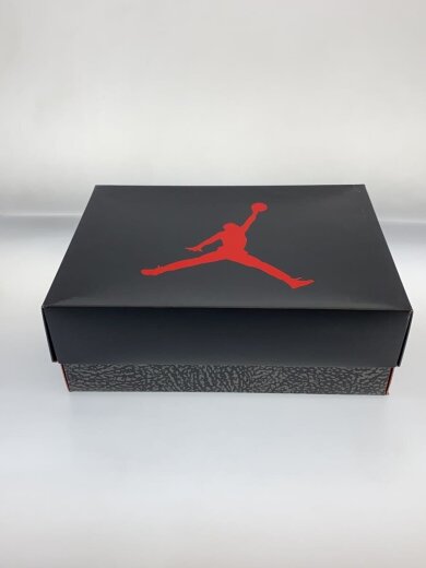 商品画像：AIR JORDAN 3 RETRO OG_エアジョーダン 3 レトロ OG/27cm/WHT 6