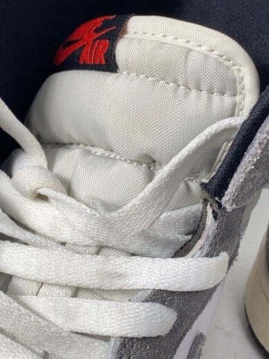 商品画像：AIR JORDAN 1 RETRO HIGH OG_エア ジョーダン 1 レトロ ハイ オージー/28cm/GR// 6