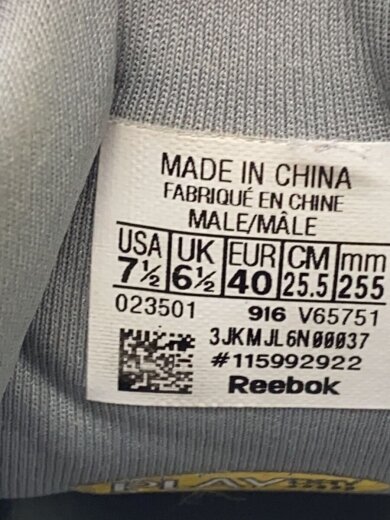 商品画像：CLASSIC/INSTAPUMP FURY OG/インスタポンプフューリーオリジナル/25.5cm/GRY 5