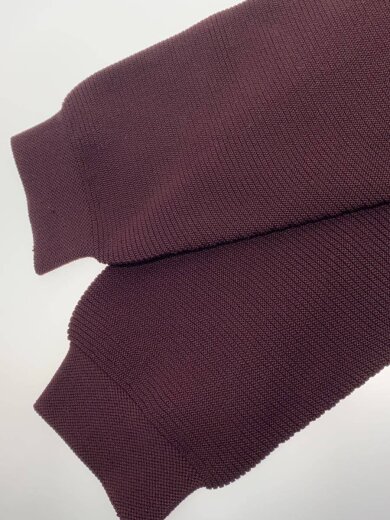 商品画像：GLOBEFIT HOODIE_グローブフィットフーディー/L/ポリエステル/BRD 5