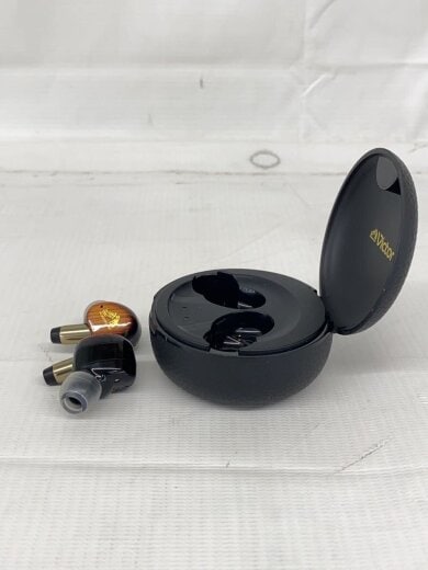 商品画像：イヤホン Victor WOOD master HA-FW5000T 3