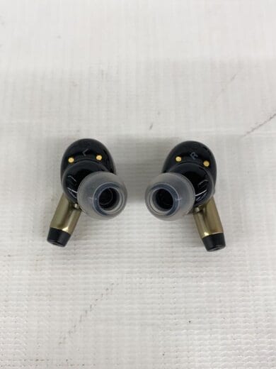 商品画像：イヤホン Victor WOOD master HA-FW5000T 4