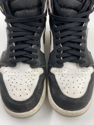 商品画像：AIR JORDAN 1_エア ジョーダン 1/28cm/GRY 6