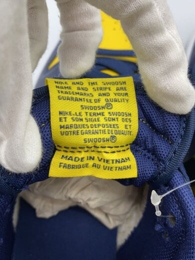 商品画像：DUNK LOW RETRO_ダンク ロー レトロ/28cm/YLW 5