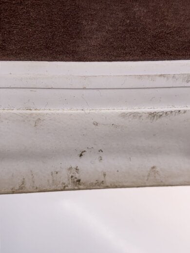 商品画像：ローカットスニーカー/29cm/BRW/LX AUTHENTIC REISSUE/VN0007QZDMV 7