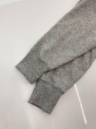 商品画像：TNF LOGO HOODIE/L/ポリエステル/GRY// 5