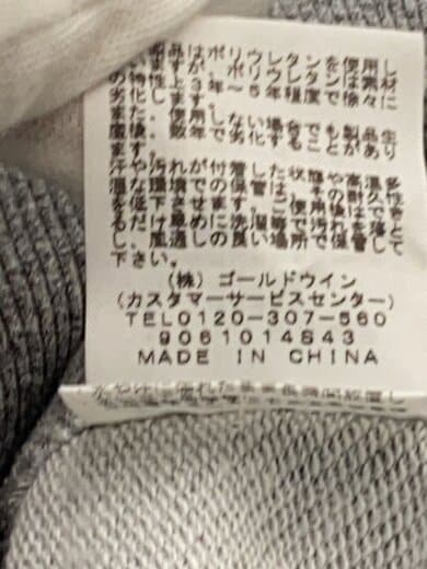 商品画像：TNF LOGO HOODIE/L/ポリエステル/GRY// 6