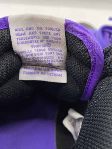 商品画像：DUNK HI RETRO BTTYS_ダンク ハイ レトロ BTTYS/28cm/PUP 5