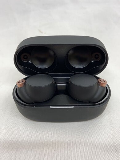 商品画像：イヤホン・ヘッドホン WF-1000XM4 (B) [ブラック] 6