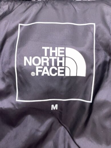 商品画像：ポラリスインサレーテッドフーディ/M/ナイロン/ORN 3