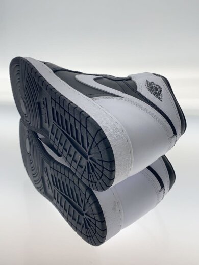 商品画像：AIR JORDAN 1 RETRO HIGH OG GS_エア ジョーダン 1 レトロ HIGH OG GS/25 4