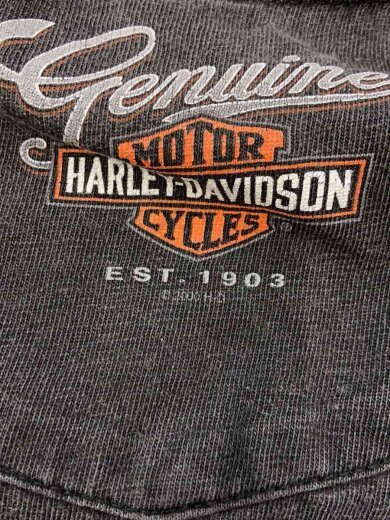 商品画像：Tシャツ/XL/コットン/GRY// 6