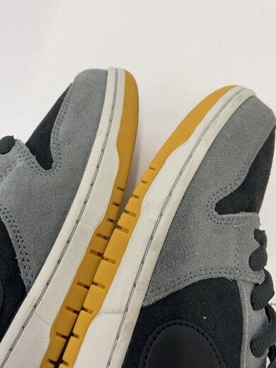 商品画像：SB DUNK LOW PRO_SB ダンク LOW プロ/30cm/GRY 6