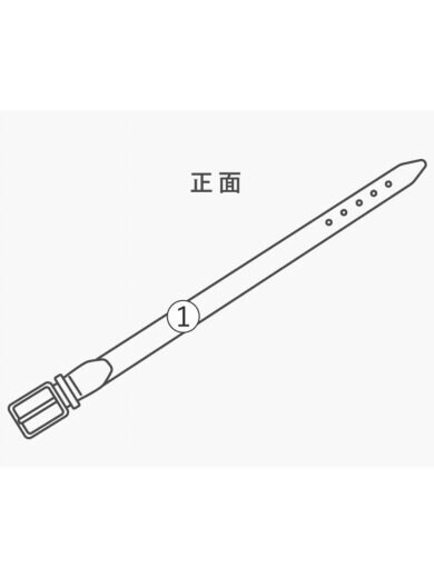 商品画像：ベルト/レザー/GRN/無地/レディース// 7
