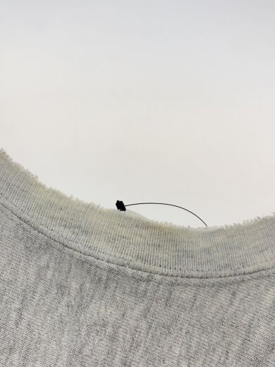 商品画像：スウェット/L/コットン/GRY/90s/MADE IN USA/GETTYSBURG COLLEGE 6