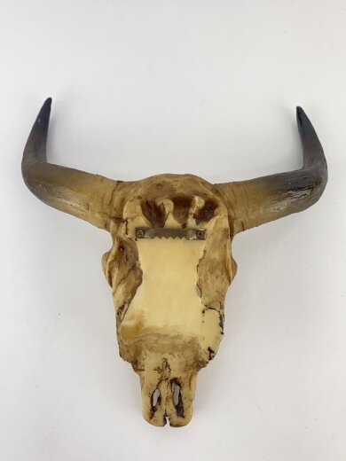商品画像：バッファロースカル/レプリカ/牛頭骨/インテリア雑貨 6