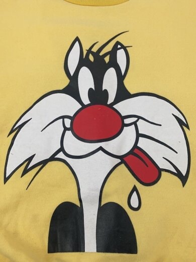 商品画像：ZHANG LAN/ワーナーブラザーズ/スウェット/コットン/YLW 5