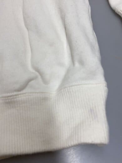商品画像：スウェット/袖スカ刺繍/L/コットン/WHT 7