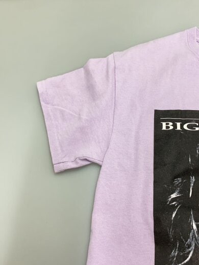 商品画像：BIG LEBOWSKI/Tシャツ/M/コットン/PUP 5
